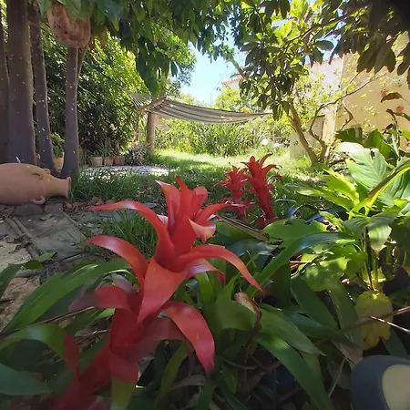 Sea View In - 70 Sqm *