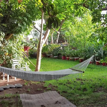 Sea View In - 70 Sqm *